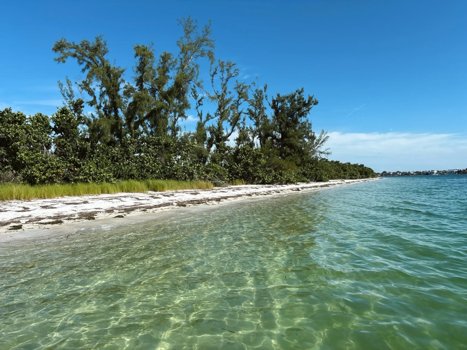 Clear turquoise water along a quiet Longboat Key shoreline