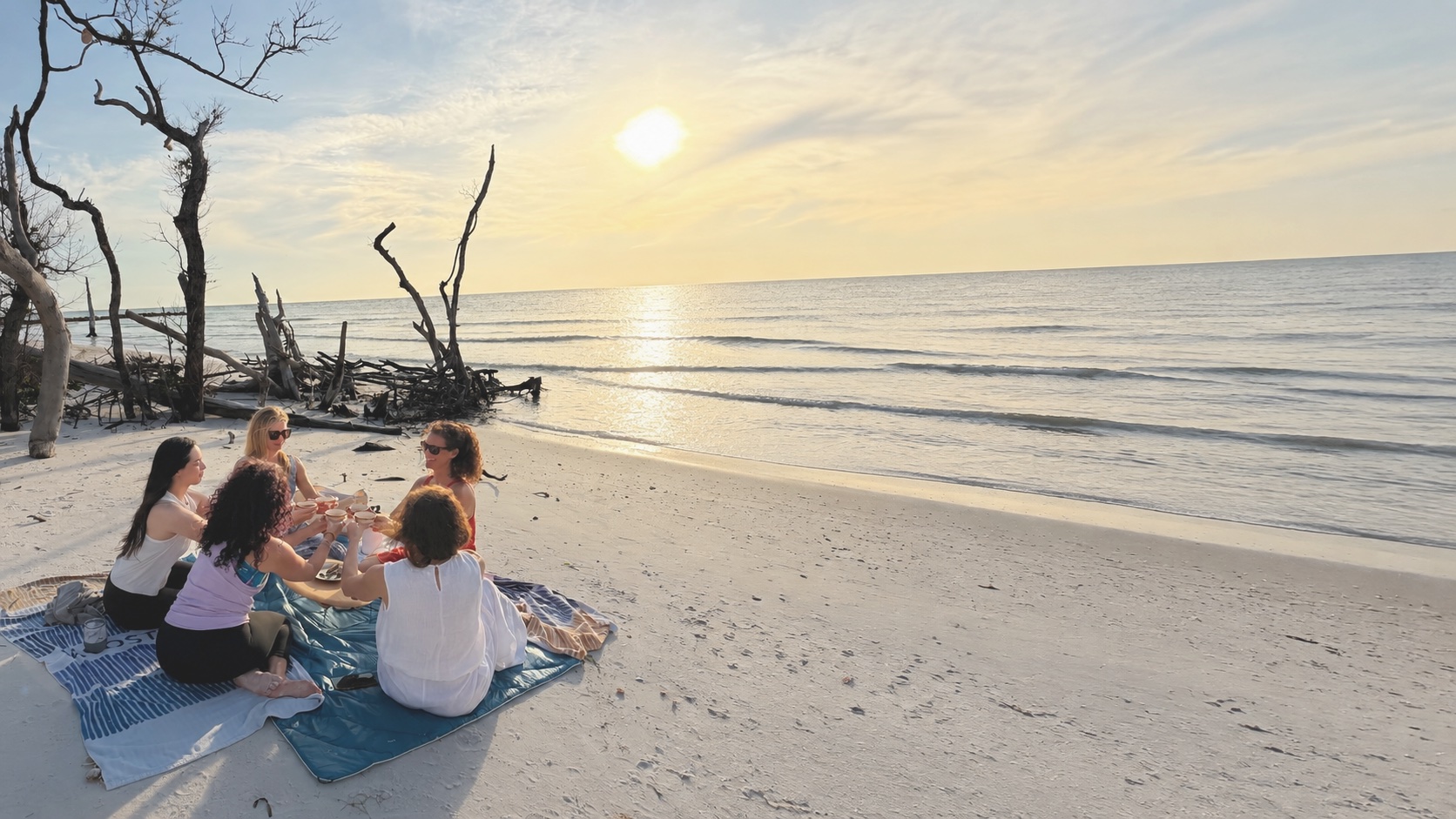 Women toasting at a sunset picnic among driftwood on a Longboat Key beach